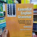 Essential English Grammar (2ND EDITION)